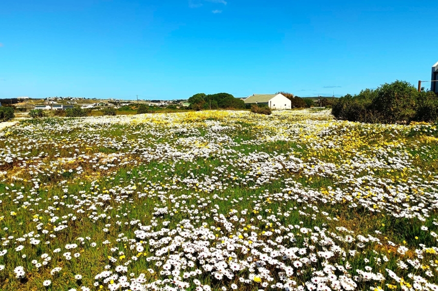 3 Bedroom Property for Sale in Laguna Western Cape